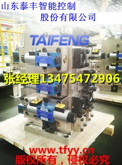 廠家供應泰豐YN32-100FCV不帶快速缸，下腔Dg10